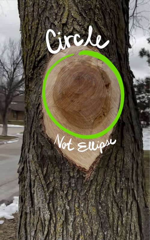 Flush Cut