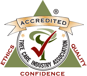 Accredited by the Tree Care Industry Association