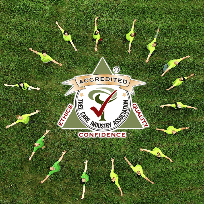 Accredited by the Tree Care Industry Association