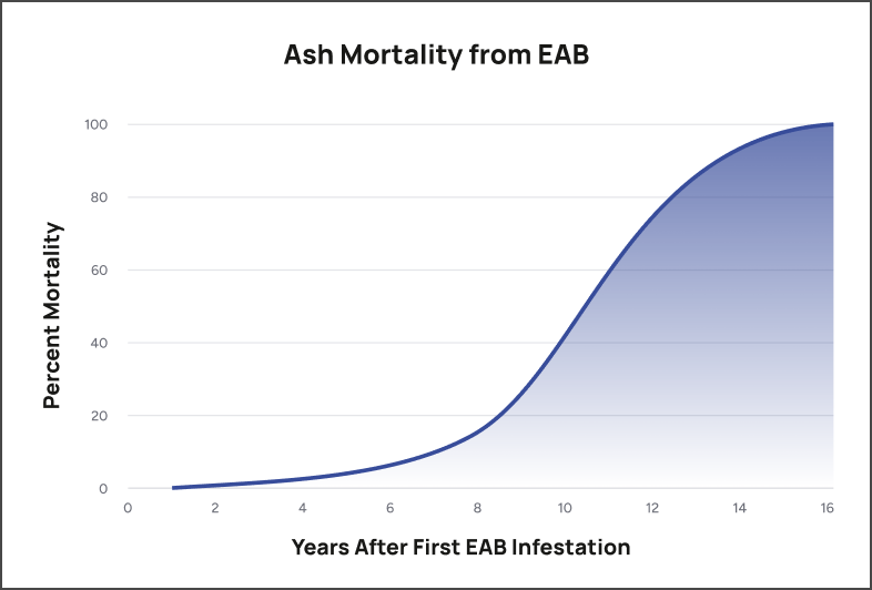 Emerald Ash Borer