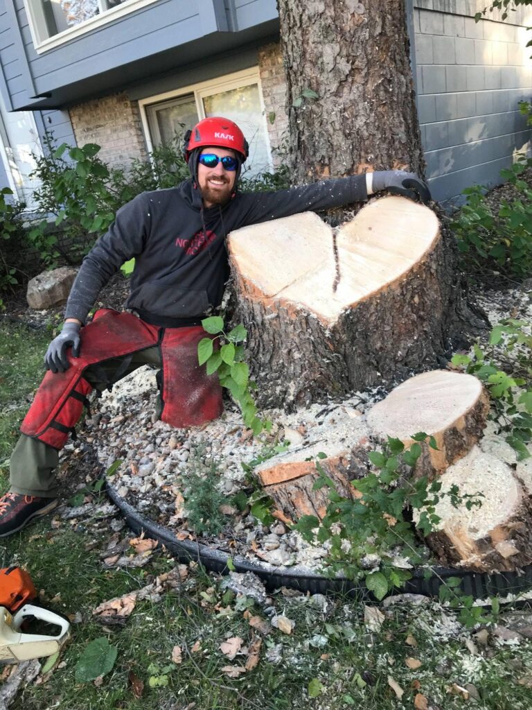 heartwood
