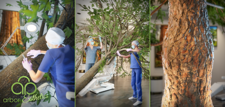 Featured image for the article: Arbor Esthetics - Enhance your Tree's Natural Features