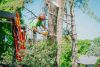 RESIDENTIAL TREE SERVICES FOR HEALTHIER, SAFER, MORE BEAUTIFUL TREES