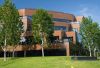 COMMERCIAL TREE SERVICES FOR SAFE, WELL-MAINTAINED PROPERTIES ACROSS OMAHA
