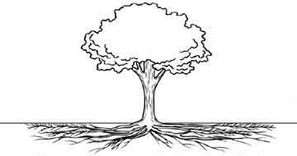 Tree growth Regulator