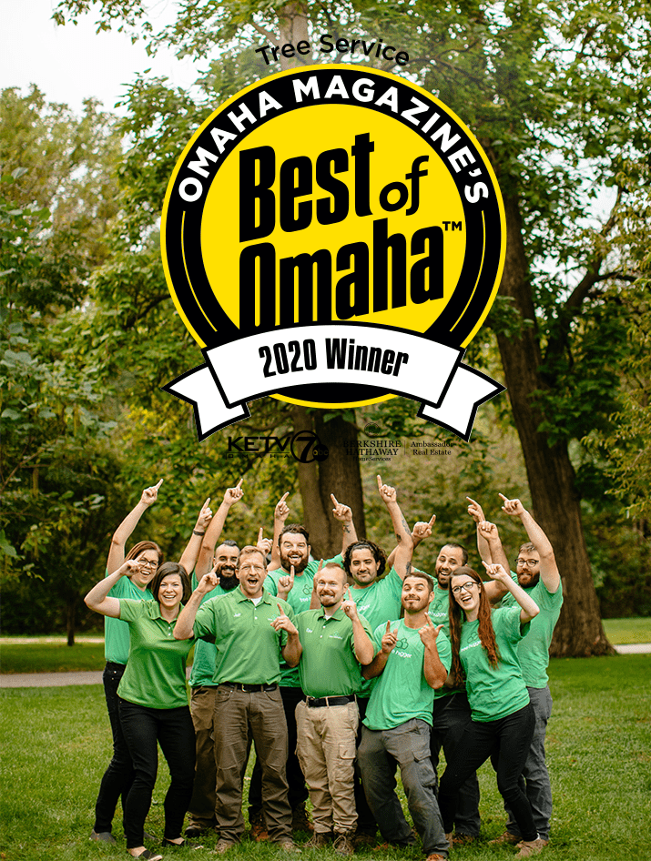 Best Tree Service In Omaha for 2020! We did it! Arbor Aesthetics Tree