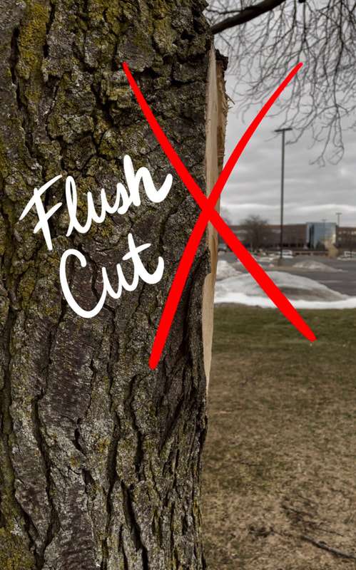 flush cut