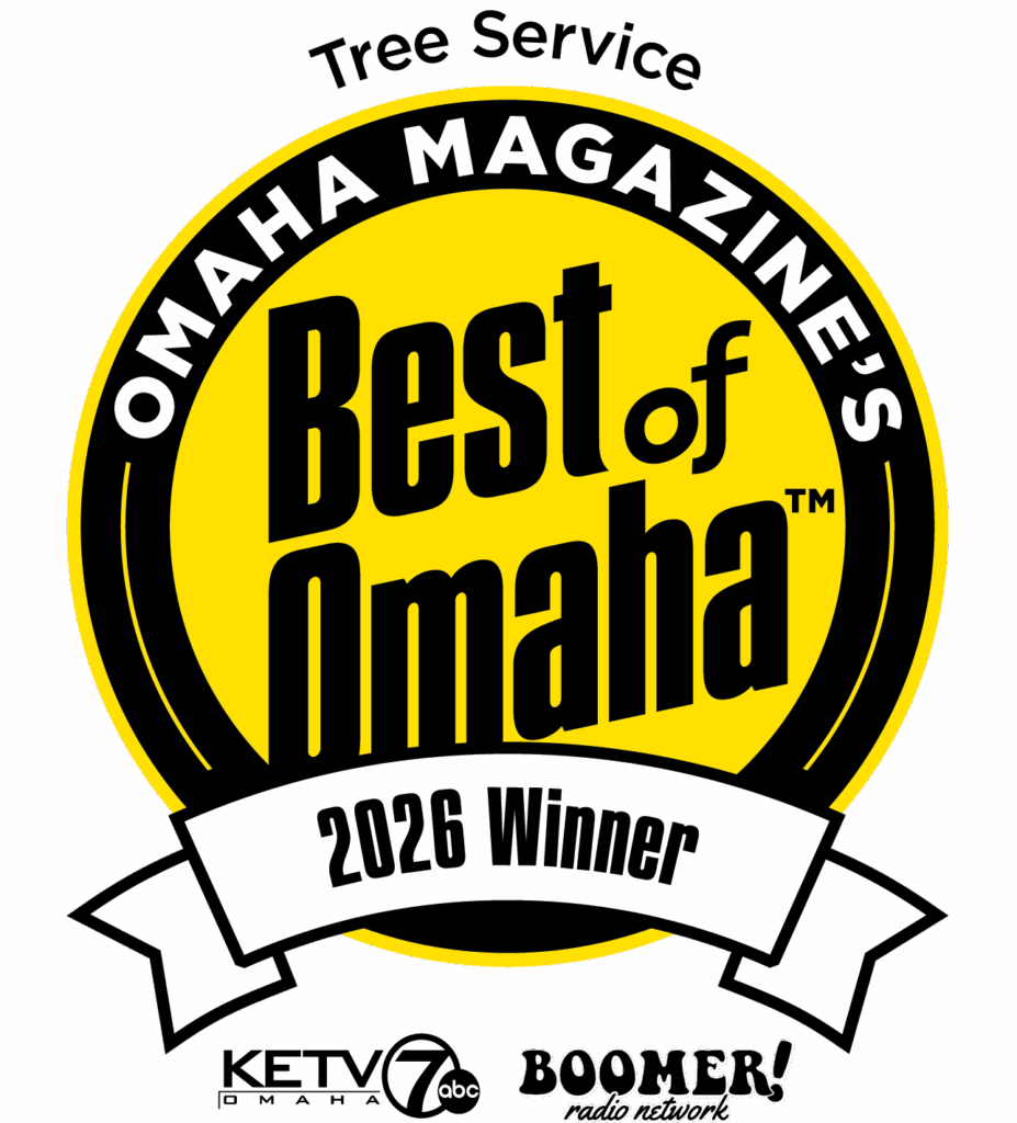 Best of Omaha award–winning Omaha tree service: Arbor Aesthetics tree trimming and removal experts