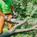 Arborist demonstrating safety practices by wearing chaps while using a chainsaw.