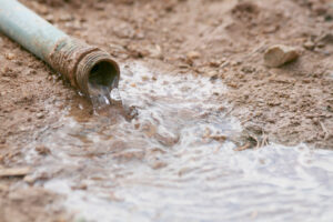 Arbor Aesthetics deep root watering for winter tree care in Omaha, NE