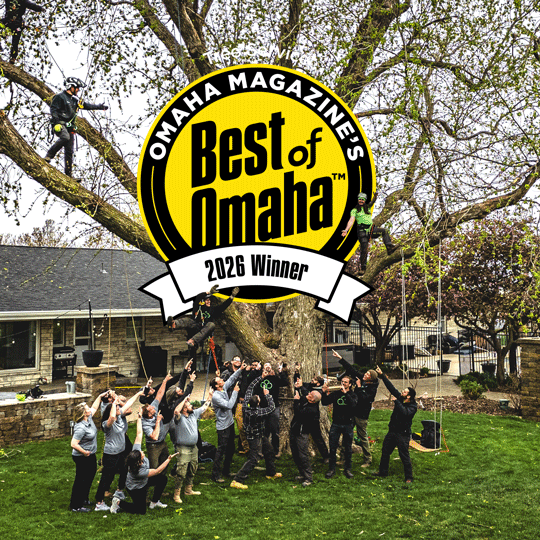 Arbor Aesthetics team celebrating Best of Omaha 2026 award for best tree service in Omaha.